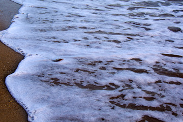 white foam on the wave, on the wet shore