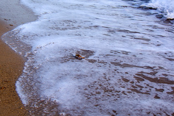 foamy wave on the sand