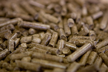 Usine pour la fabrication de granule pour les poeles a bois
