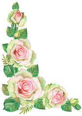 Watercolor composition with roses. Roses for cards.