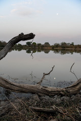 Landscape of a lake in Nazinga National Park
