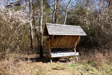 Fodder rack with hay for forest animals