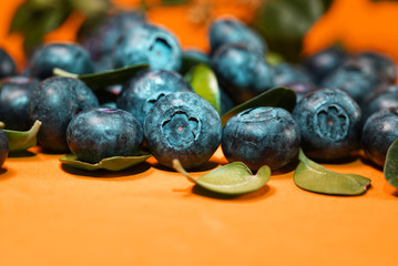 fresh blueberries on a color background