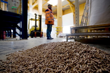 Usine pour la fabrication de granule pour les poeles a bois