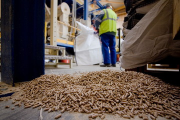 Usine pour la fabrication de granule pour les poeles a bois