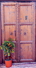 Door decorated with flower pots