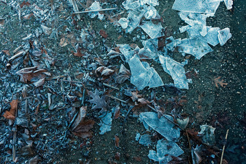 abgefallene blätter, laub auf dem sandstrand mit eis vom see