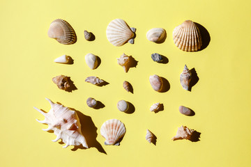 Seashells, starfish and sea rock collection on yellow background. Natural seashore textured surface, top view, copy space. Minimal simple summer time concept.