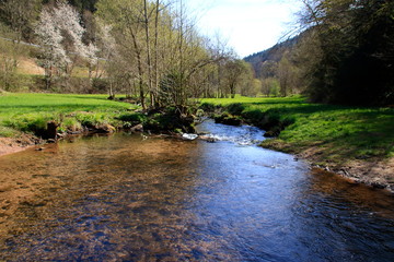 Idyllischer bachlauf der teinach bei bad teinach im schwarzwald