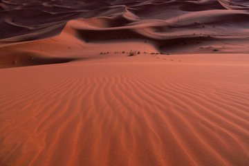 Sand dunes of Erg Chebbi in the Sahara Desert, Morocco