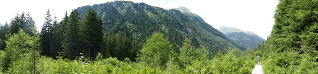 Wald