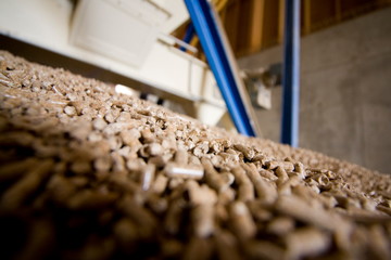 Usine pour la fabrication de granule pour les poeles a bois