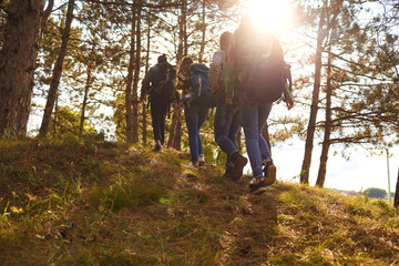 Young people with backpacks walking in the forest