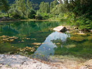 A body of water surrounded by trees
