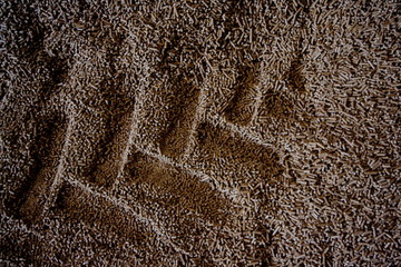 Usine pour la fabrication de granule pour les poeles a bois