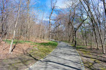 Empty Walkway with Trees at the Northern Area of Central Park in New York City during Spring
