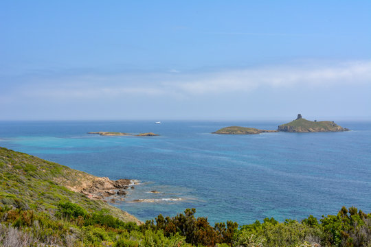 Mediterranean maquis on the Sentier des Douaniers, a coastal path on the Cap Corse, with view of Plage des Iles, the beach of the islands of the nature reserve of Finocchiarola. France