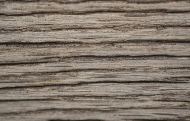 Wooden old bark  wallpaper