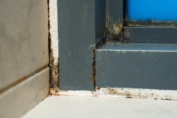 Old plastic window frame in the shower. Moldy angle, fungus. Problem areas shower.