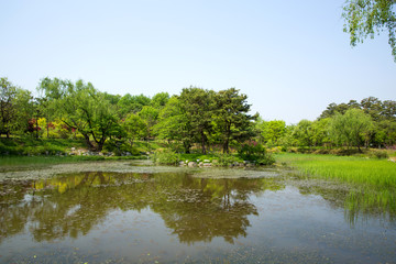 Fototapeta premium Mulhyanggi Arboretum in Osan-si, South Korea. 