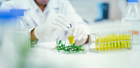 scientist in laboratory testing cbd oil extracted from a marijuana plant. Healthcare pharmacy from...
