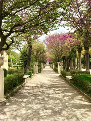 Park on the mountain in the city of Ragusa, Sicily