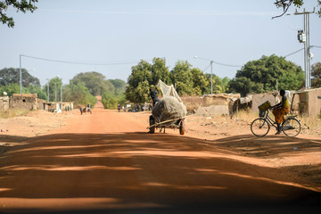 A trailer loaded with cotton is pulled by a donkey  near Nazinga National Park