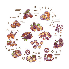 Nuts and seeds web banner. Infographics with linear icons on white background. Creative idea concept. Isolated outline color illustration