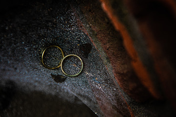 Wedding rings on spider web