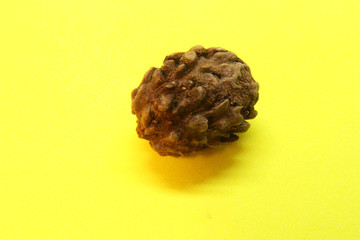 Rudraksha seeds