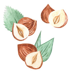 Watercolor Nuts. Hazelnut set. Illustration for menu, catalog, restaurant, cartoon, game, kitchen, textile, decor.