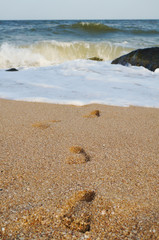 Footprints in the sand at sunset. Beautiful sandy tropical beach with sea waves. Footsteps on the shore.