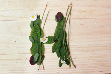 letra h hecha de hojas de plantas y flores naturales sobre madera  © DondykRiga