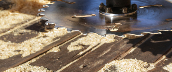 Saw blade at a sawmill. Close up