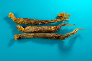 Ginseng root on a blue background close-up. Top view. Flat lay