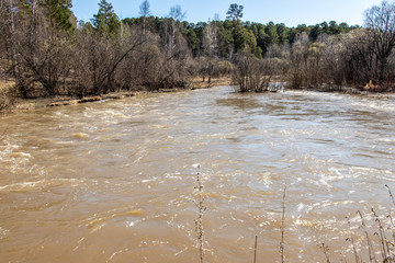 
Stormy river in the spring. Siberian landscape