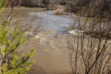 
Stormy river in the spring. Siberian landscape