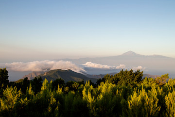 Landscape in Canary Islands