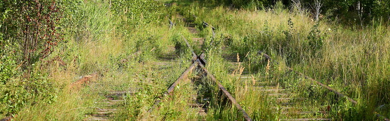 Overgrown with thick green grass old railway