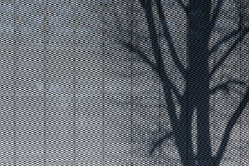Shadow of tree on perforated metal plate structured facade texture cladding modern architecture close up