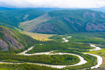 ribbon of river in mountain valley, winding riverbed among coniferous forests with panoramic views