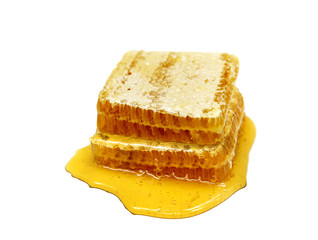 honeycomb on white isolated background