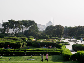 children playing in a park in egypt