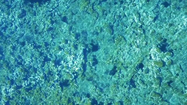 Fondale marino basso - scogli