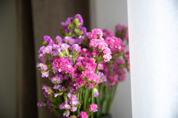 Purple tone flowers
