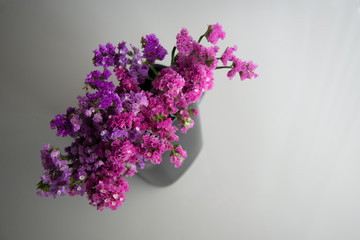 Purple tone flowers