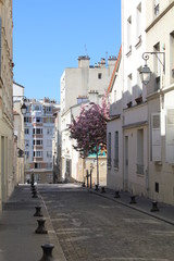 Obraz premium Sunny Parisian streets in quarantine