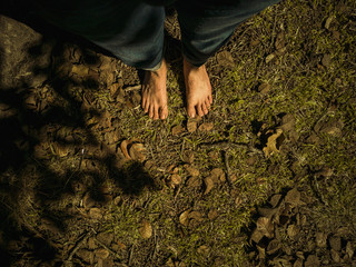 planting a tree