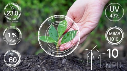 Smart digital agriculture technology by futuristic sensor data collection management by artificial intelligence to control quality of crop growth and harvest. Computer aided plantation grow concept.
