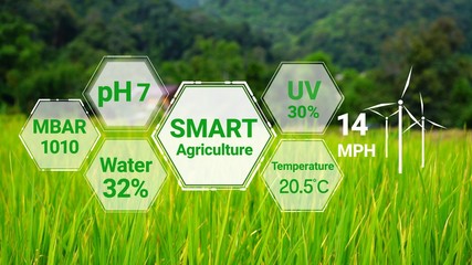 Smart digital agriculture technology by futuristic sensor data collection management by artificial...